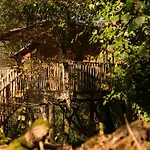 Insolite En Dordogne * Saint-Amand-de-Coly