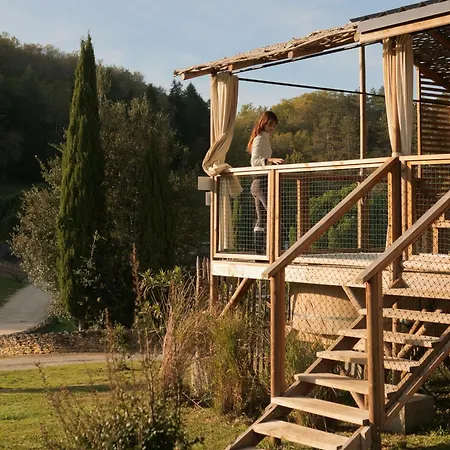 Insolite En Dordogne Saint-Amand-de-Coly