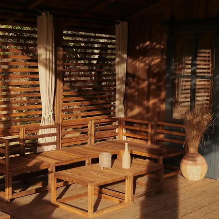 Insolite En Dordogne Saint-Amand-de-Coly