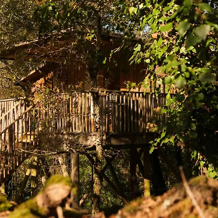 Insolite En Dordogne * Saint-Amand-de-Coly