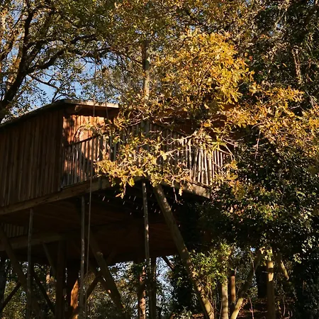 Insolite En Dordogne Πάρκο διακοπών Saint-Amand-de-Coly