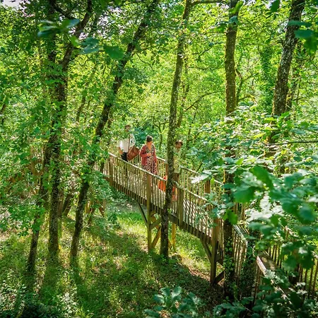 Insolite En Dordogne * Saint-Amand-de-Coly