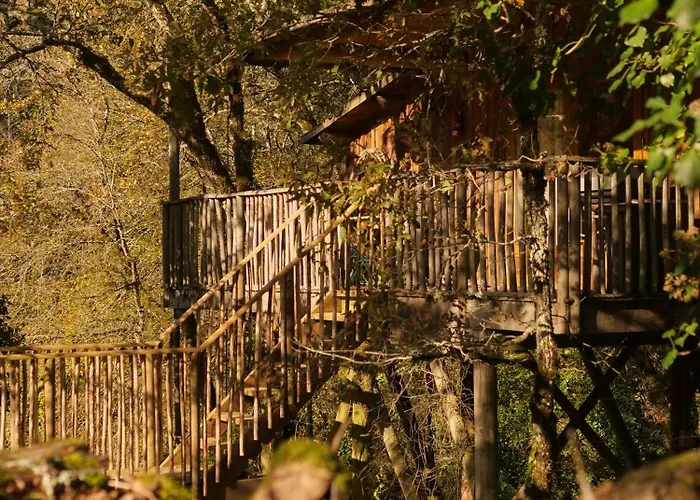 Insolite En Dordogne *