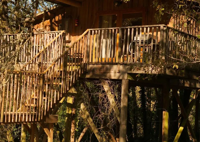 Insolite En Dordogne