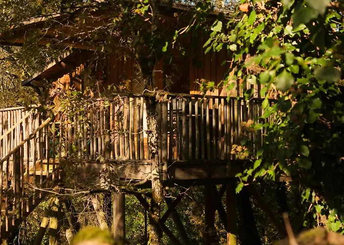 Insolite En Dordogne * Saint-Amand-de-Coly