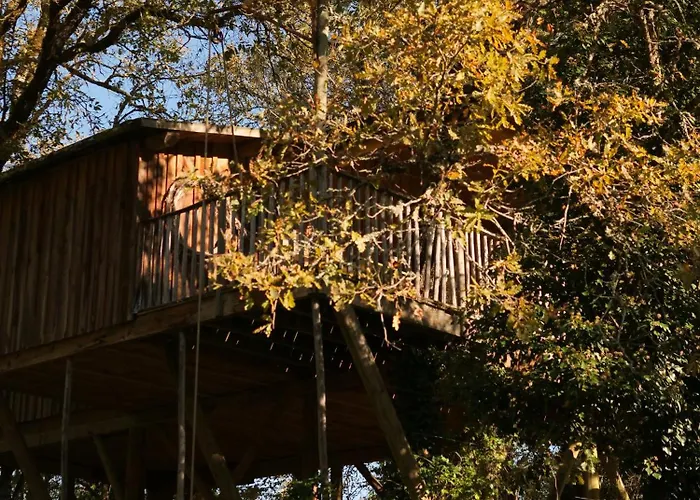 Insolite En Dordogne Feriepark Saint-Amand-de-Coly