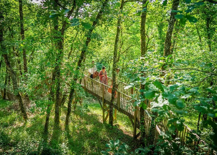 Insolite En Dordogne * Saint-Amand-de-Coly